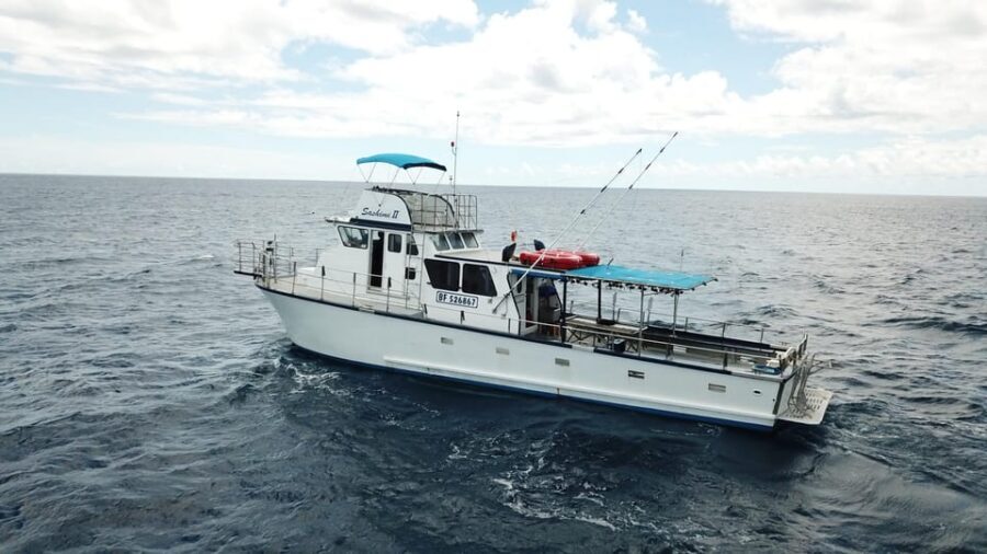 3-Hour Honolulu Bottom Fishing Adventure - Gear, bait, and how the crew sets you up for success