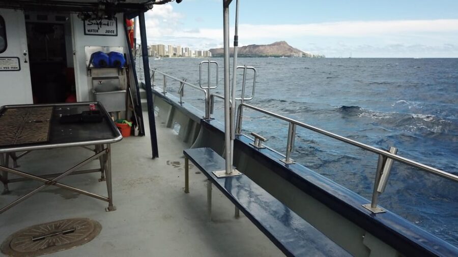 3-Hour Honolulu Bottom Fishing Adventure - Price and value: why $86 makes sense for beginners