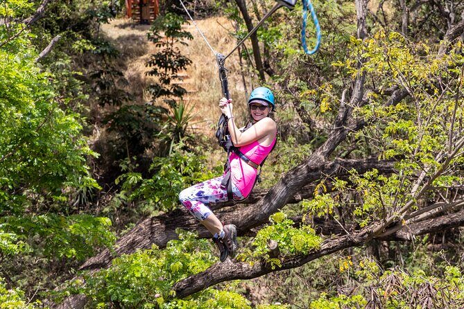 3 Zipline Adventure with Waikiki Transportation - Check-In, Gear, and the Safety Brief That Actually Matters