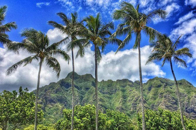 4 Hour Half Day Island Jeep Tour - Price and value: what $189.95 really covers