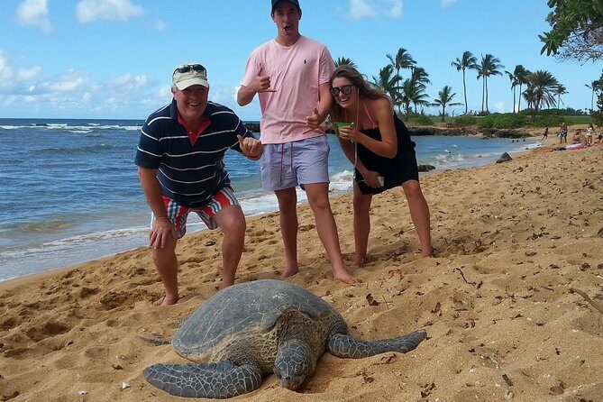 6-Hour Private Customized Luxury Convertible Tour of Oahu's North Shore - Price and value: what you’re paying for at $760 per private group