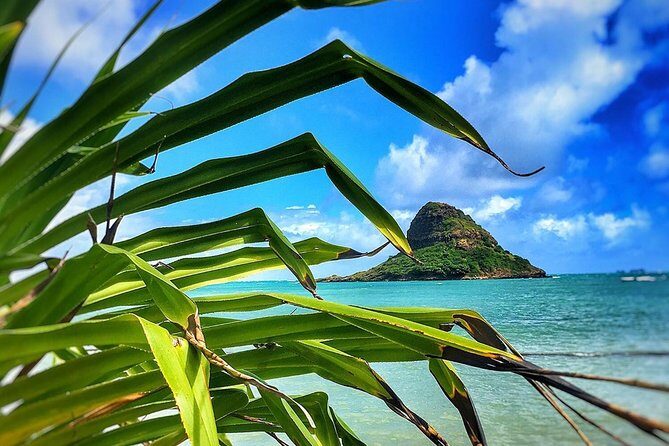8 Hour Circle Island Jeep Tour - Who should book this Jeep Circle Island tour