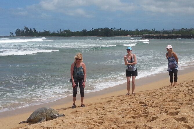 8-Hour Luxury Four Door Convertible Tour of Oahu's South and North Shores - Waimanalo, Ko Hana rum tasting, and Green World Coffee Farms