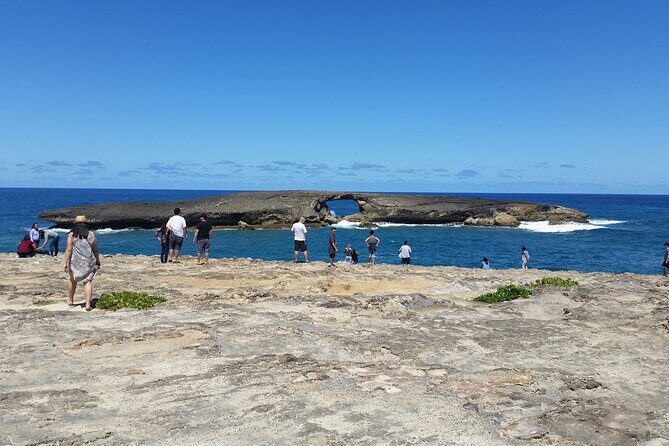 8-Hour Luxury Four Door Convertible Tour of Oahu's South and North Shores - Dole Plantation and the Pineapple ice cream moment