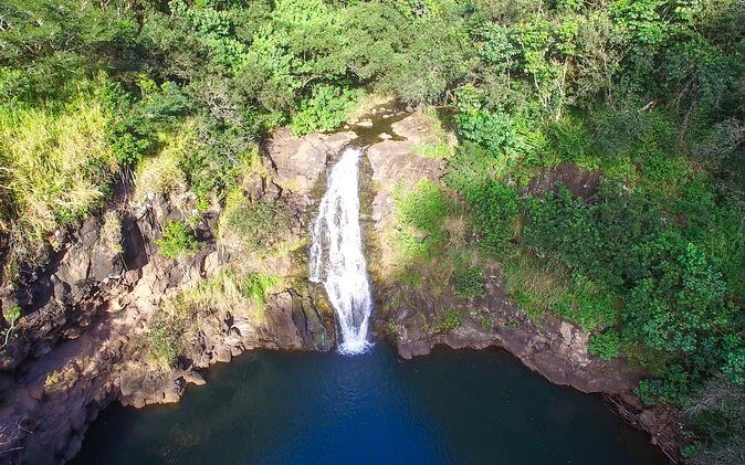 All Inclusive Ultimate Circle Island Tour, Waimea Falls & Lunch - Starting in Waikiki and Kapiolani Park: a fast warm-up, not a reset