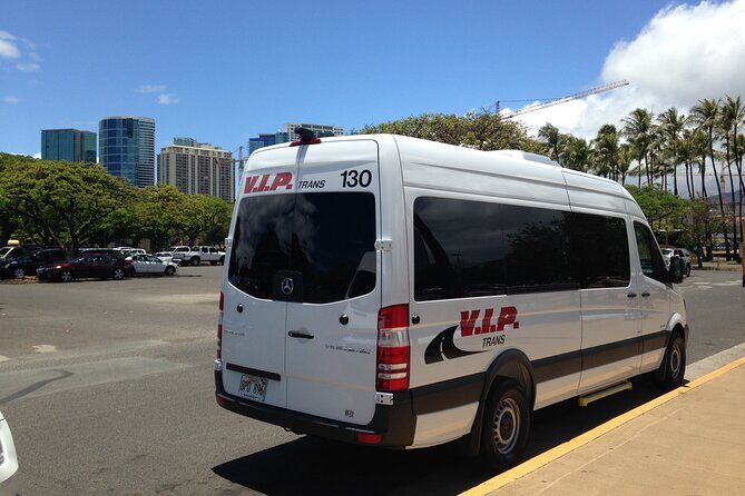 Arrival Transfer: Airport Shuttle Honolulu and Waikiki or Cruise Terminal - Luggage help and smoother arrival: avoiding taxi-line stress