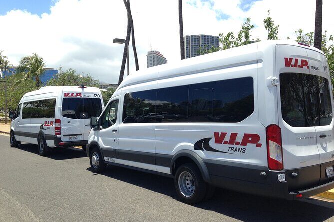 Arrival Trasfer: Airport Shuttle Honolulu and Cruise Terminal - The VIP greeter at baggage claim: your fastest way to stop guessing