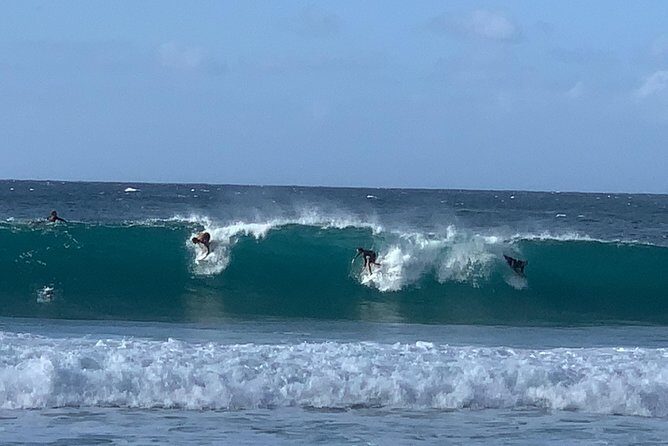 Beaches, Food & Aloha: Private Oahu Tour - Makapu‘u Point and Rabbit Island: Whale Season Viewing and Big Windward Views