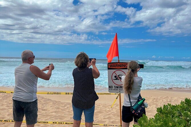 Best of Oahu Full-Day Small-Group Island Tour - Pickup, timing, and why the short stops can be a good thing