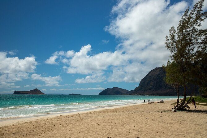 Best Of Oahu: Grand Circle Island Small Group Tour From Waikiki - Hukilau Marketplace lunch: choose your meal, then reset