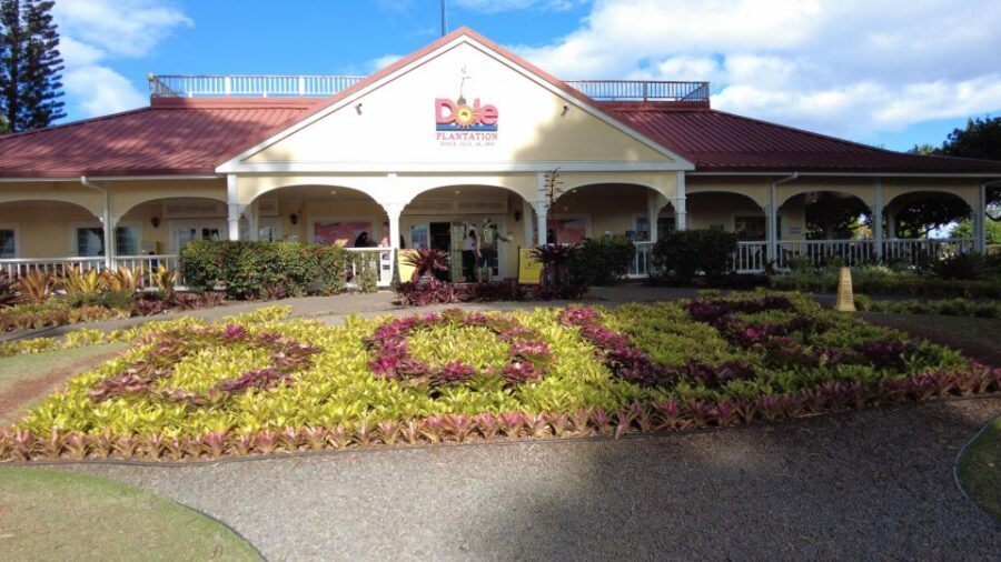 Best of Oahu in One Day - Byodo-In Temple and a macadamia farm: culture meets the pantry