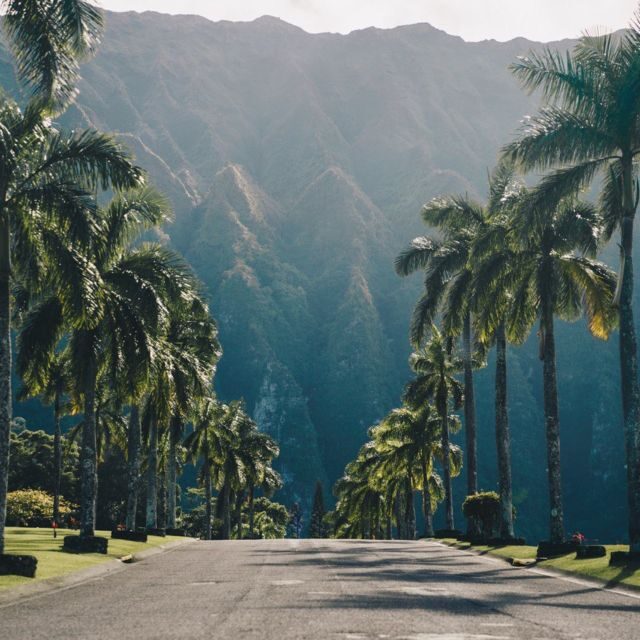 Best of Oahu in One Day - Scenic drive-by moments: Chinaman’s Hat, Polynesian Cultural Center, and Turtle Beach
