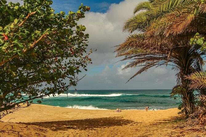 Best of Oahu: Pearl Harbor & Oahu Circle Island Tour from Waikiki - Guides Make or Break the Day