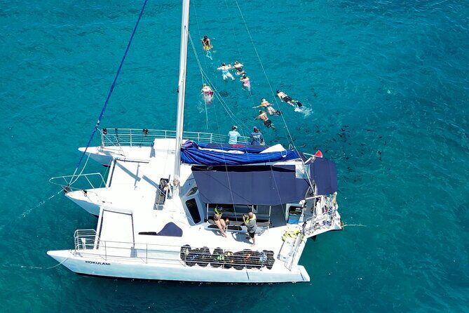 Best Waikiki Snorkel Tour: Guaranteed Turtles at Turtle Canyon - Holomoana St check-in: how your 2-hour day really starts