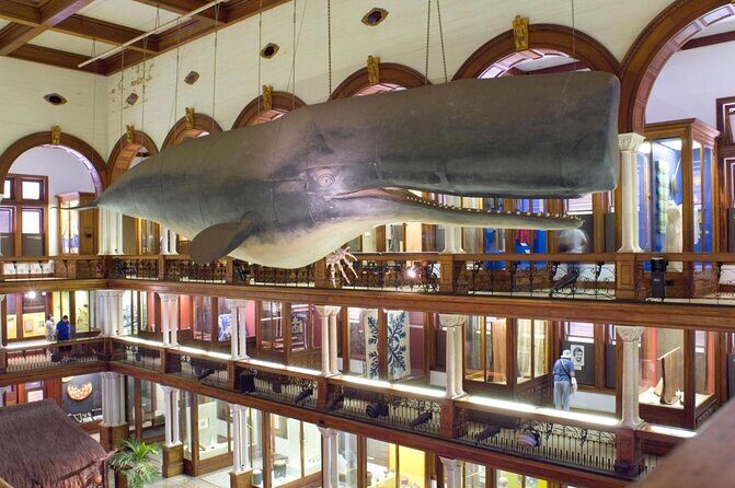 Bishop Museum General Admission Ticket - Key highlights worth aiming for