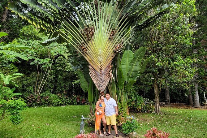 Byodo Temple and Waimea Botanical Garden Tour - Waimea Botanical Gardens and Waimea Valley Waterfall: The Best Payoff, With Real Footing and Clear Swim Rules