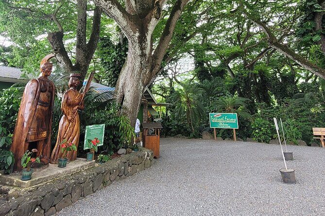 Circle Island 8hr Private Small Group Tour - Why this Circle Island tour works (key highlights)