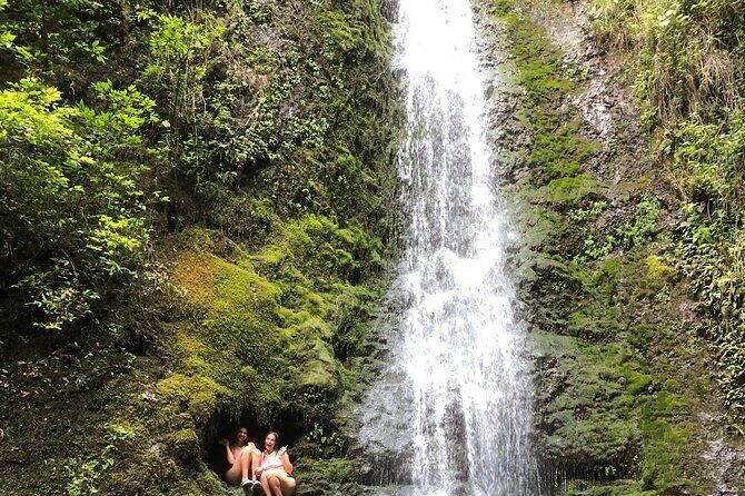 Circle Island tours - swim with turtles,Private & Small Group Tours - Haleiwa and the macadamia nut farm: a smooth landing at the end