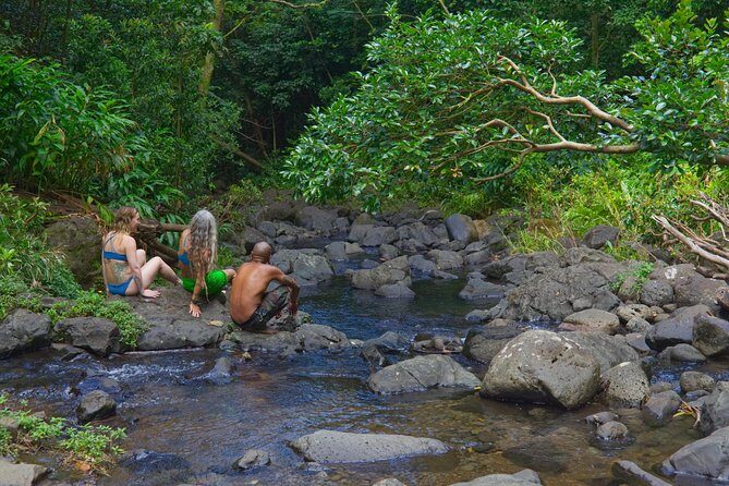 Custom Island Adventure Tours - 7 hours that blend waterfalls, snorkeling, and sightseeing