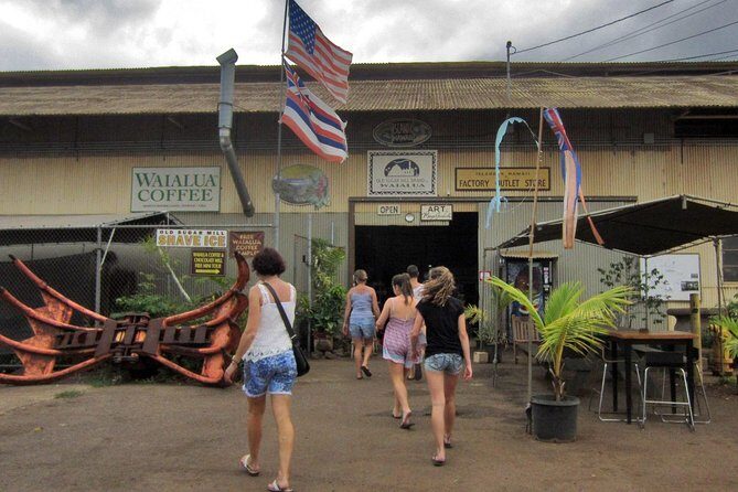 Custom Island Tour - for 4 to 5 people - up to 8 hours - Private tour of Oahu - North Shore: surf scenes, turtles, and timing that matters