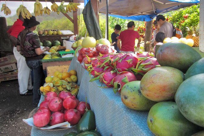 Custom Island Tour - for 4 to 5 people - up to 8 hours - Private tour of Oahu - Lunch, snacks, and why your guide’s food advice can save the day