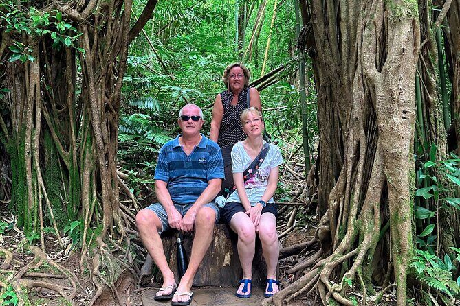 Diamond Head and Manoa Falls Hike and Adventure Tour - Between the hikes: local stories in Waikiki (Duke Kahanamoku and more)