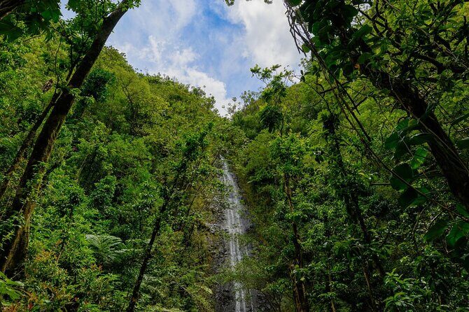 Diamond Head and Manoa Falls Hike and Adventure Tour - Snacks, beverages, and the missing refreshment gap