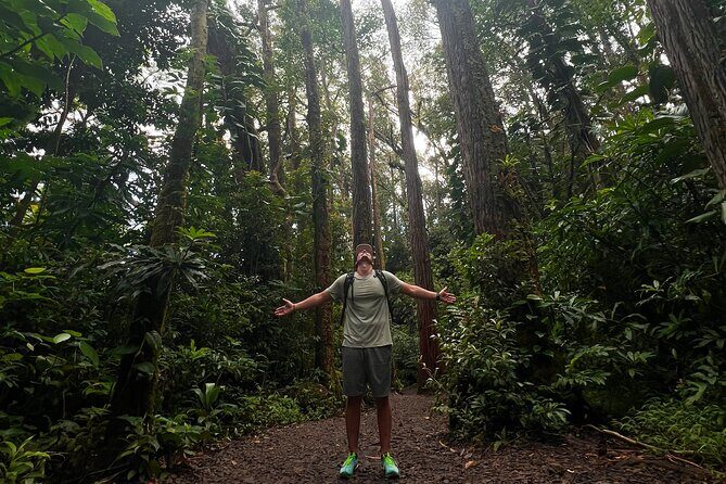 Diamond Head and Manoa Falls Hike and Adventure Tour - Getting value from $149 per group (and when it’s a steal)