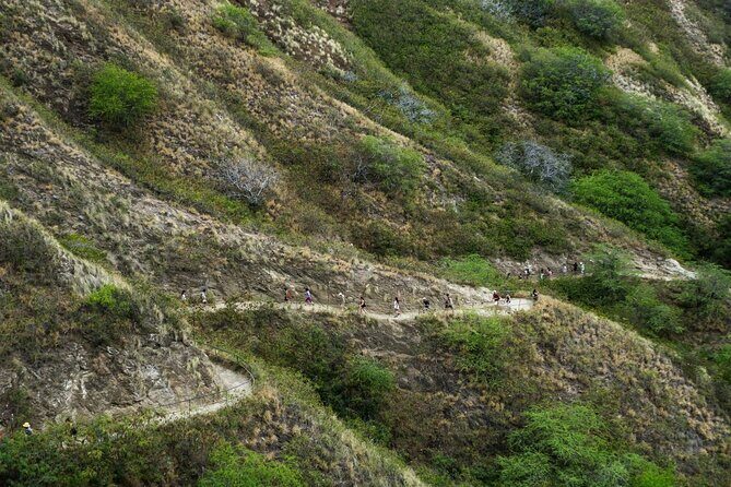 Diamond Head and Manoa Falls Hike and Adventure Tour - Who should book this Diamond Head and Manoa Falls adventure?