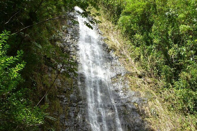 Diamond Head and Manoa Falls Hike and Adventure Tour - Manoa Falls: a family-friendly jungle walk to the waterfall