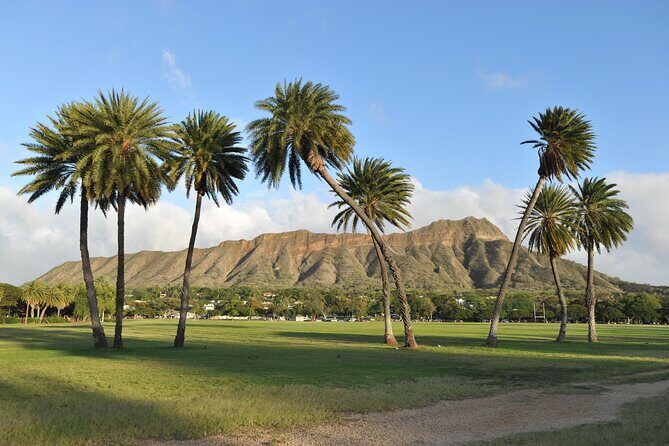 Diamond Head Hiking Experience with Roundtrip Transportation - Who this Diamond Head option suits best