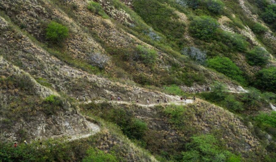 Diamond Head Manoa Falls - What to Wear, Bring, and Avoid