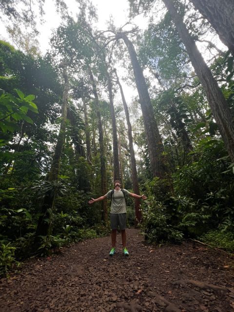 Diamond Head Manoa Falls - Pickup, Timing, and How the Day Flows