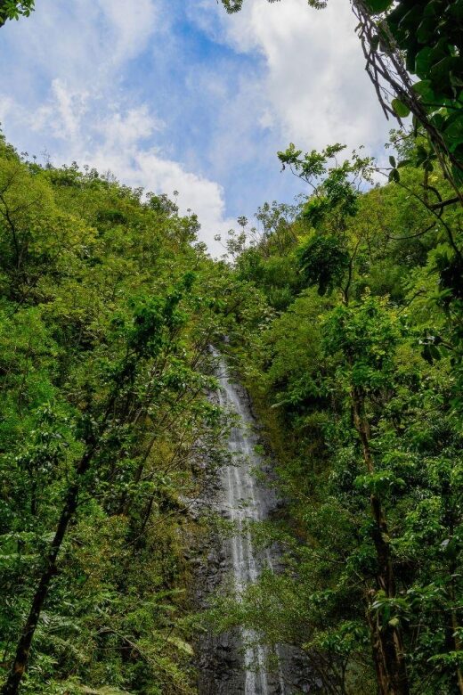 Diamond Head Manoa Falls - Manoa Falls: Bamboo Forests, Muddy Trails, and a Waterfall Finish