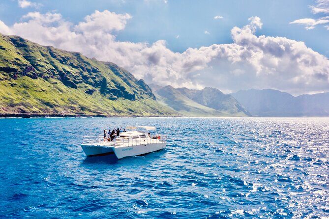 Dolphin Watching and Snorkeling on the West Coast of Oahu - Dolphins in the wild: what you’ll likely see and what you must accept