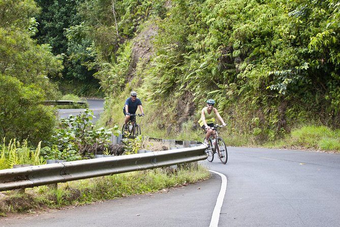 Downhill Bike and Ko'olau Waterfall Hike Tour - Downhill Bike and Koolau Waterfall Hike: the real promise