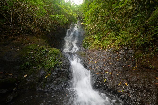 Downhill Bike and Ko'olau Waterfall Hike Tour - Guide quality: why names keep showing up