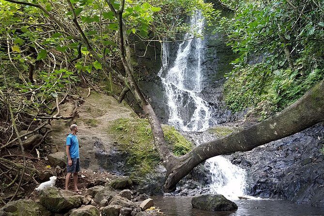 Downhill Bike and Ko'olau Waterfall Hike Tour - The downhill bike ride: easy coasting, lots of braking