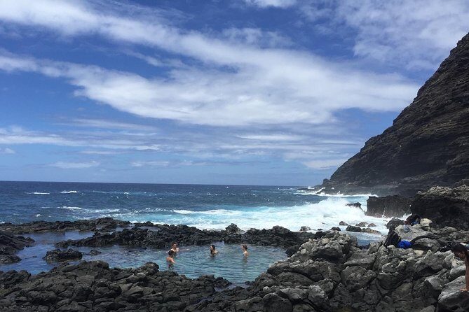 Eco-adventure friendly Aloha Island Tour - Tropical Farms Macadamia Outlet: country feel, trees, and animal time