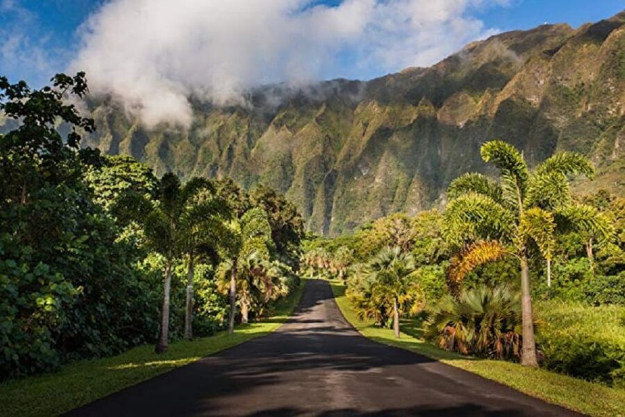 Explore Oahu in a Polaris Slingshot - The Slingshot Experience: Easy to Drive, Big Views