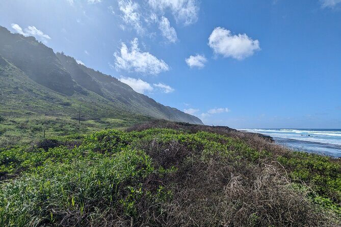 Famed North Shore Tour - Haleiwa: Surf Town Energy With Real Places to Stop