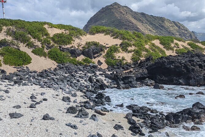 Famed North Shore Tour - Puaʻena Point Beach Park: Views, Turtles, and Snorkel-Friendly Calm
