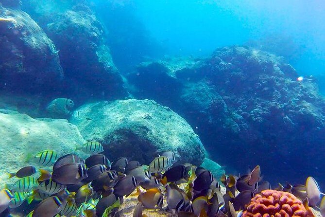 First-Time Scuba Diving in Honolulu + Free Videos - Getting Started at Magic Island Lagoon (and Why It Matters)