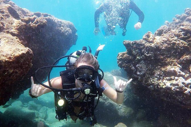 First-Time Scuba Diving in Honolulu + Free Videos - Ala Moana Beach Park Waters: Marine Life You Can Spot