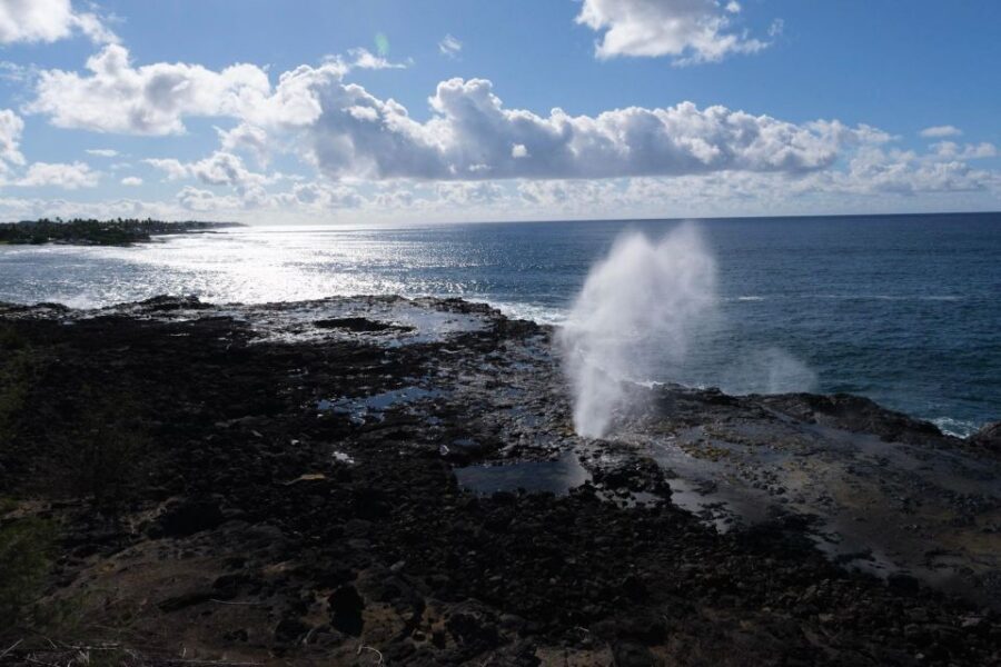 From Oahu: Kauai Waimea Canyon & Wailua River Tour - What You’ll Do in Old Kōloa Town (Plus the Coffee Company Stop)