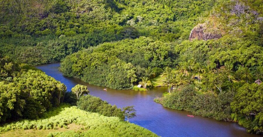From Oahu: Kauai Waimea Canyon & Wailua River Tour - The Quick Stop: Spouting Horn