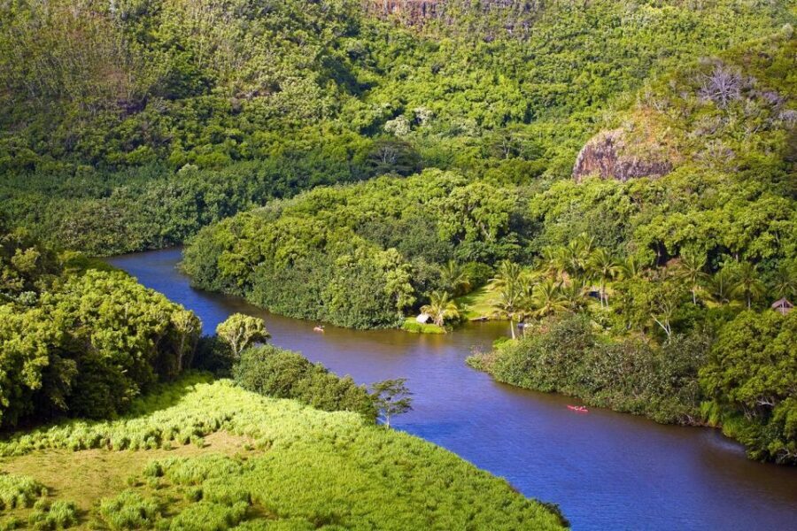 From Oahu: Kauai Waimea Canyon & Wailua River Tour - Price and Value: What $575 Actually Buys You