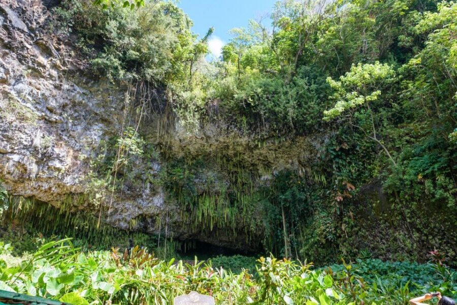 From Oahu: Kauai Waimea Canyon & Wailua River Tour - Who This Tour Is For (and Who Should Skip It)