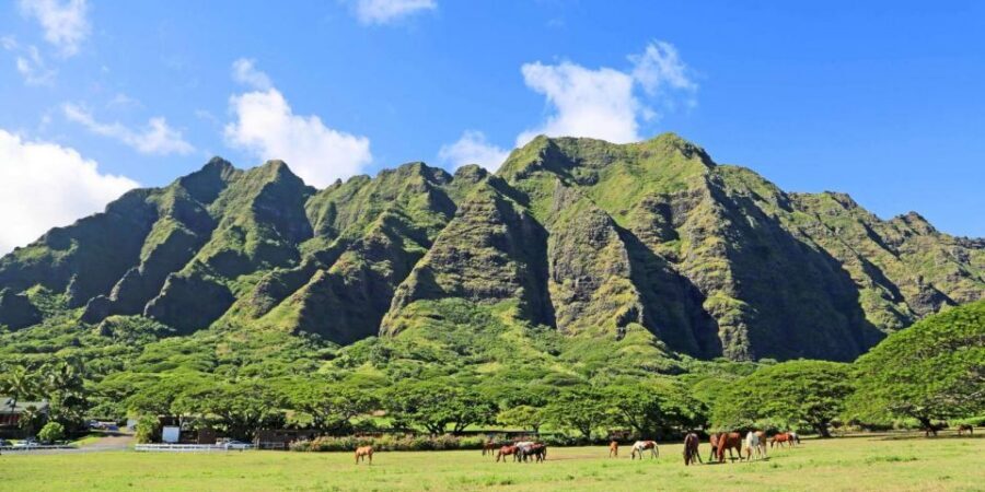 From Waikiki: Circle Island Tour - Temples and calm breaks: Byodo-In and a more reflective side of Oahu