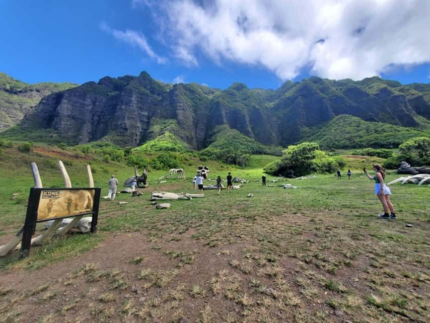 From Waikiki: Oahu Circle Island Tour - Turtle Beach and Waimea Bay: where the ocean steals the show